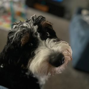 Meet your Posher, Karen